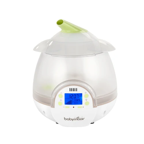 Cheminée vapeur
