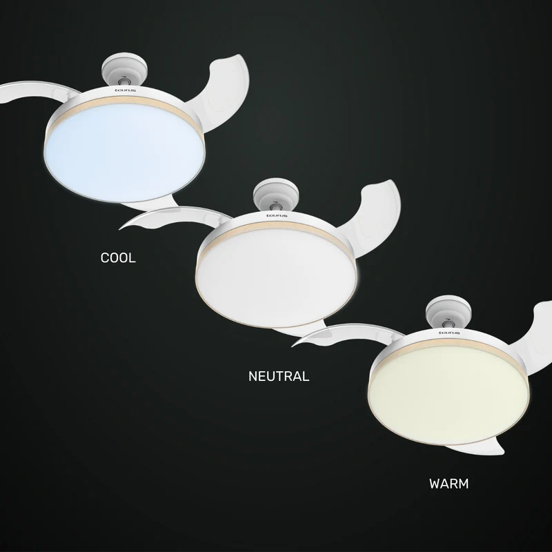 POLAR INVISIBLE