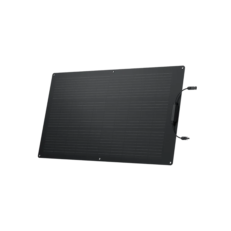 Pannello solare flessibile da 100 W EcoFlow