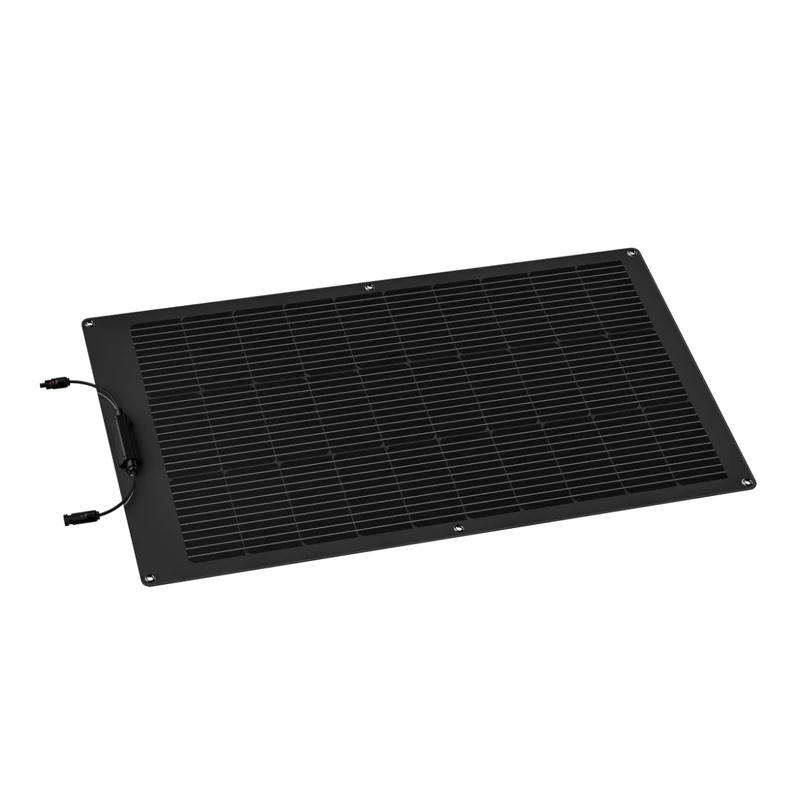 Pannello solare flessibile da 100 W EcoFlow