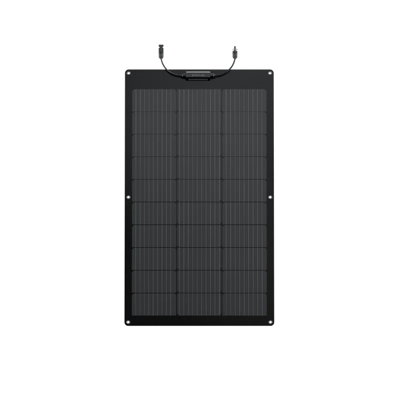Pannello solare flessibile da 100 W EcoFlow
