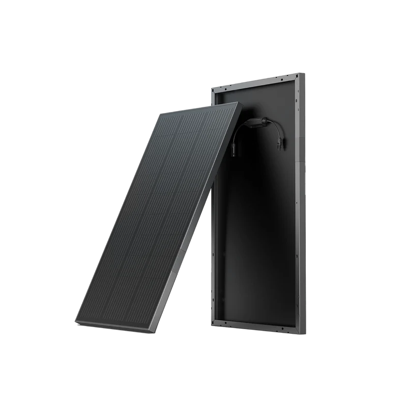 Pannello solare rigido da 100 W EcoFlow (2 pz.)