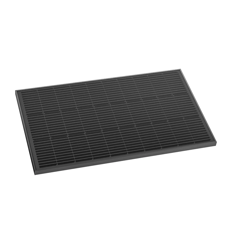 Pannello solare rigido da 100 W EcoFlow (2 pz.)