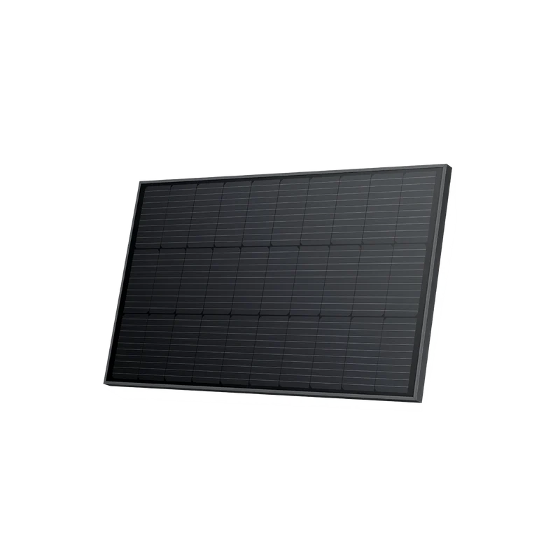 Pannello solare rigido da 100 W EcoFlow (2 pz.)