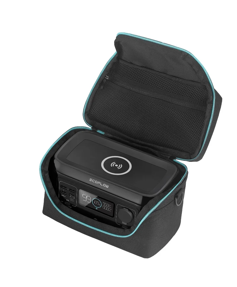 Borsa per EcoFlow RIVER mini