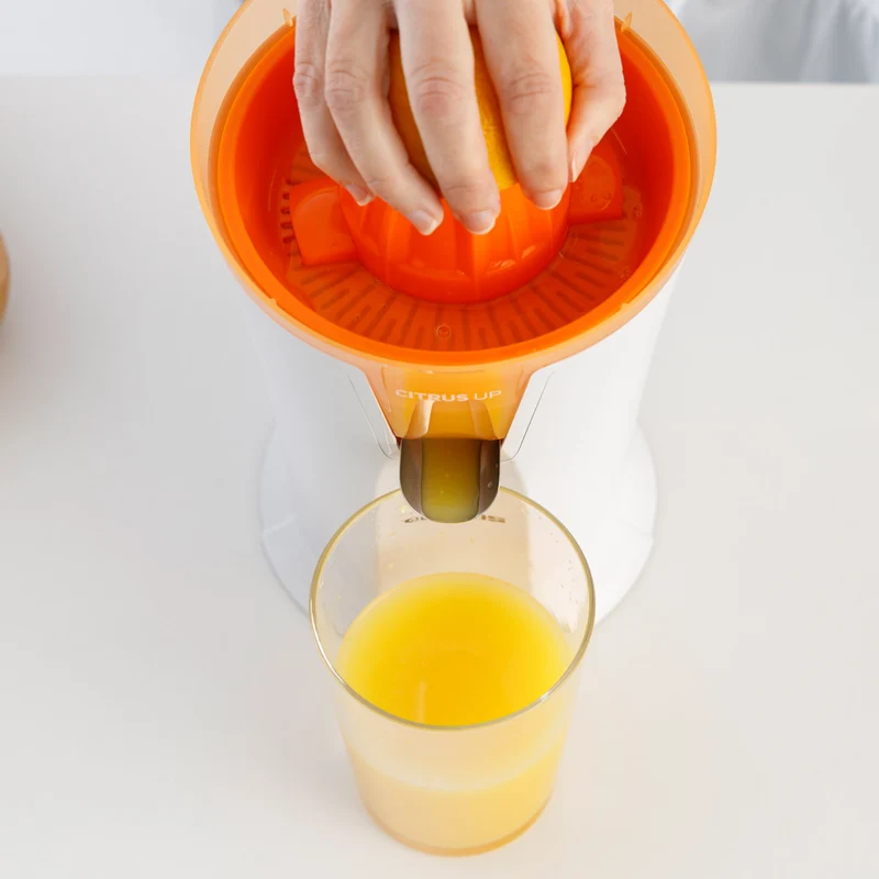 CITRUS UP
