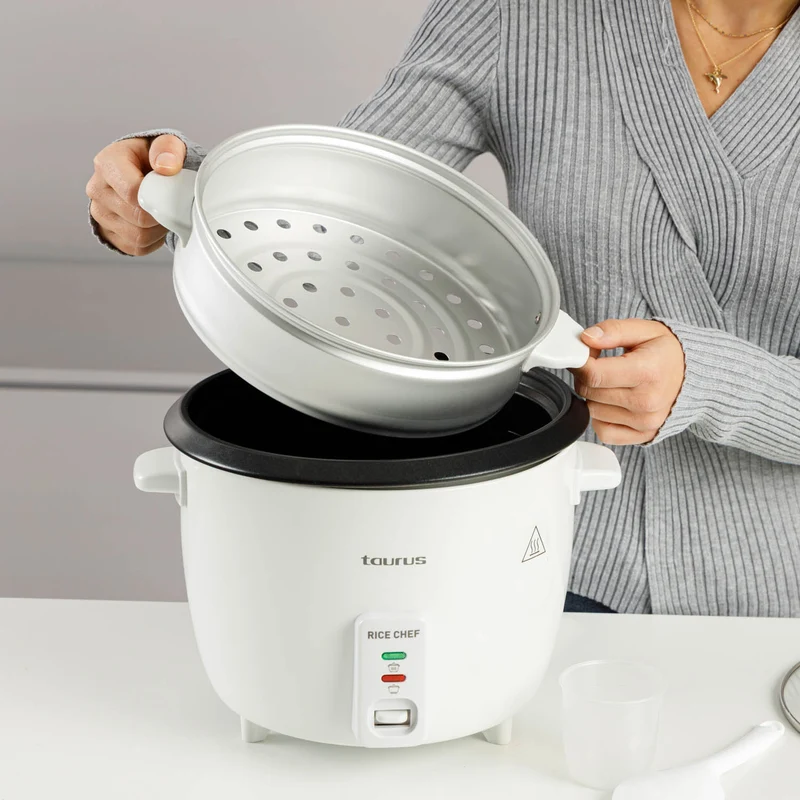 RICE CHEF