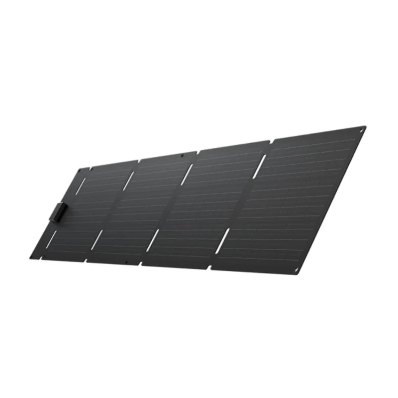 EcoFLow Panel Solar Portátil 60W, EFSOLAR60-TYPE-C