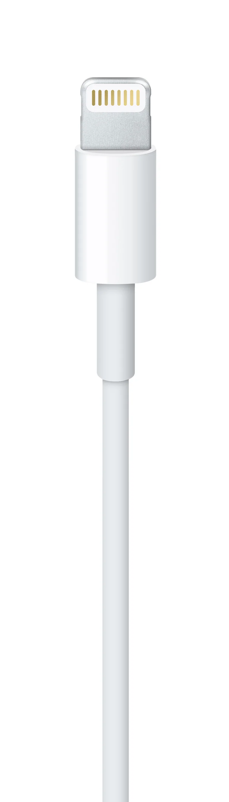 Cable de conector Lightning a USB (1 m)