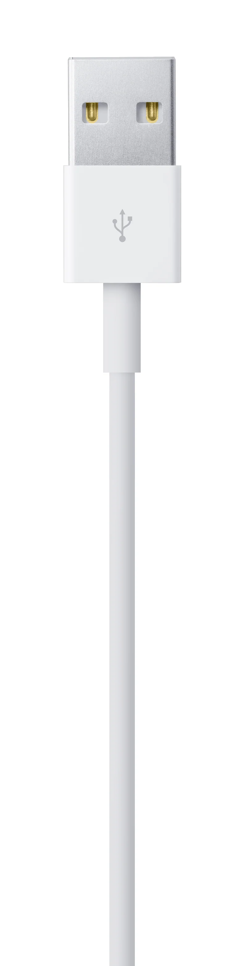 Cable de conector Lightning a USB (1 m)