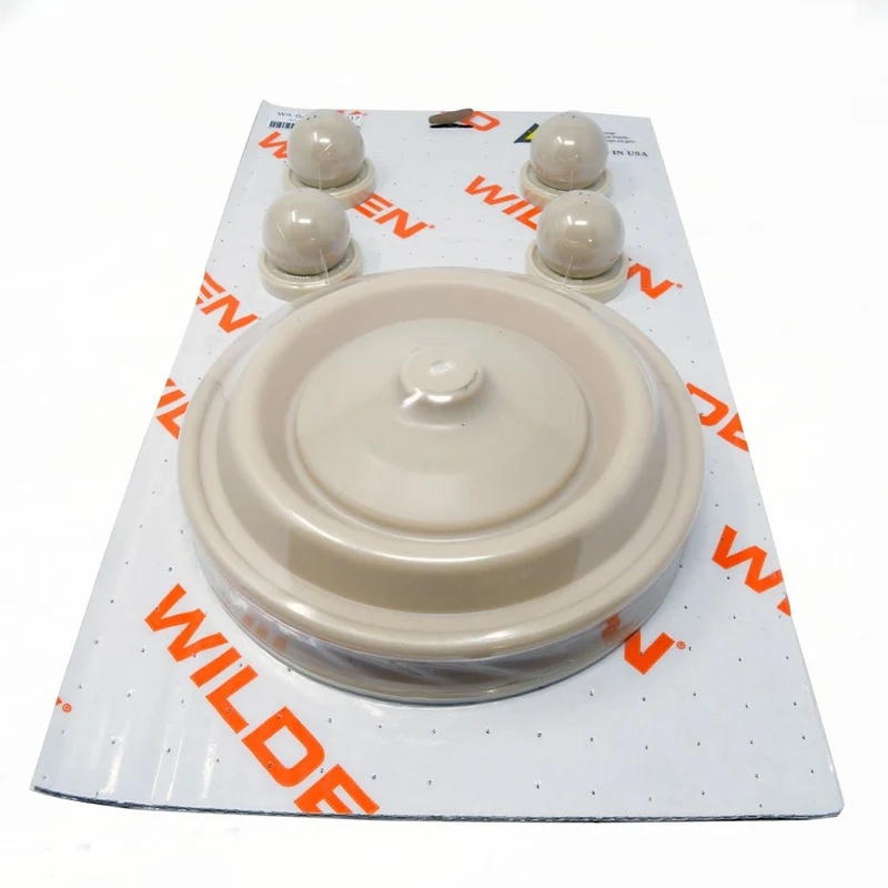 WARDJet - 3007309 Wet End Kit for 1-1/2" Diaphragm Pump, Chem-Fused