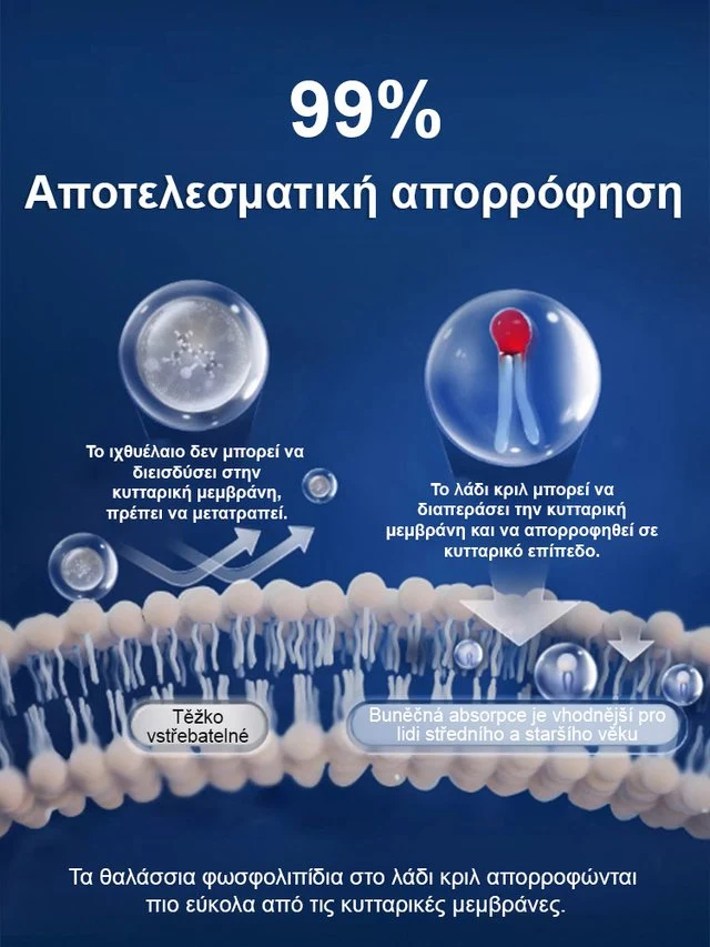 Αναβαθμισμένη αποτελεσματική έκδοση: Λάδι κριλ Ανταρκτικής-GR