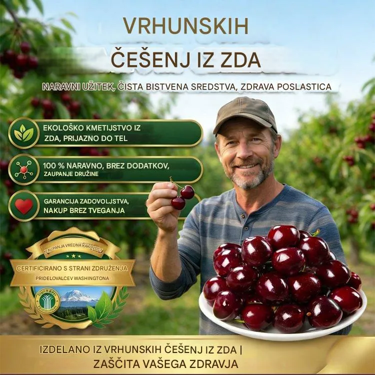 【Sveže obrane】sadenke pritlikavih češenj-SI