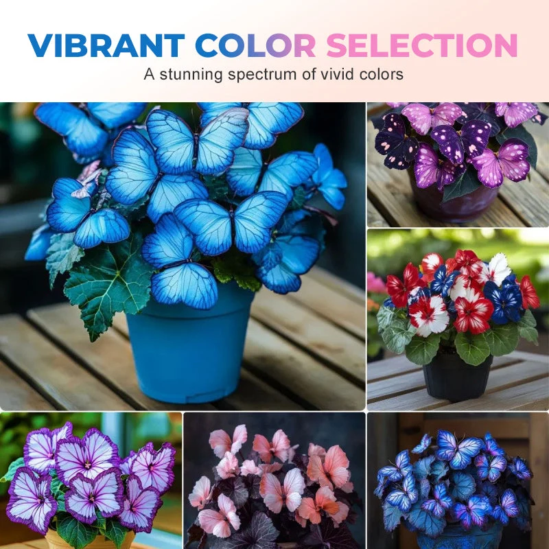 Semillas de flores elegantes con forma de mariposa-ES