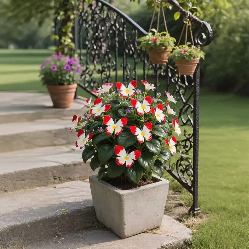 Semillas de flores elegantes con forma de mariposa-ES