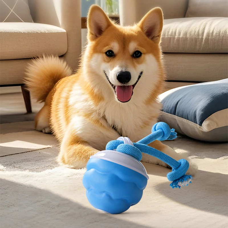 🐶Interaktyvus elektroninis raminamasis kamuoliukas augintiniams-LT