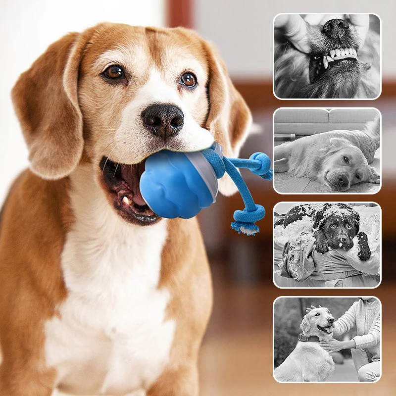 🐶Interaktyvus elektroninis raminamasis kamuoliukas augintiniams-LT