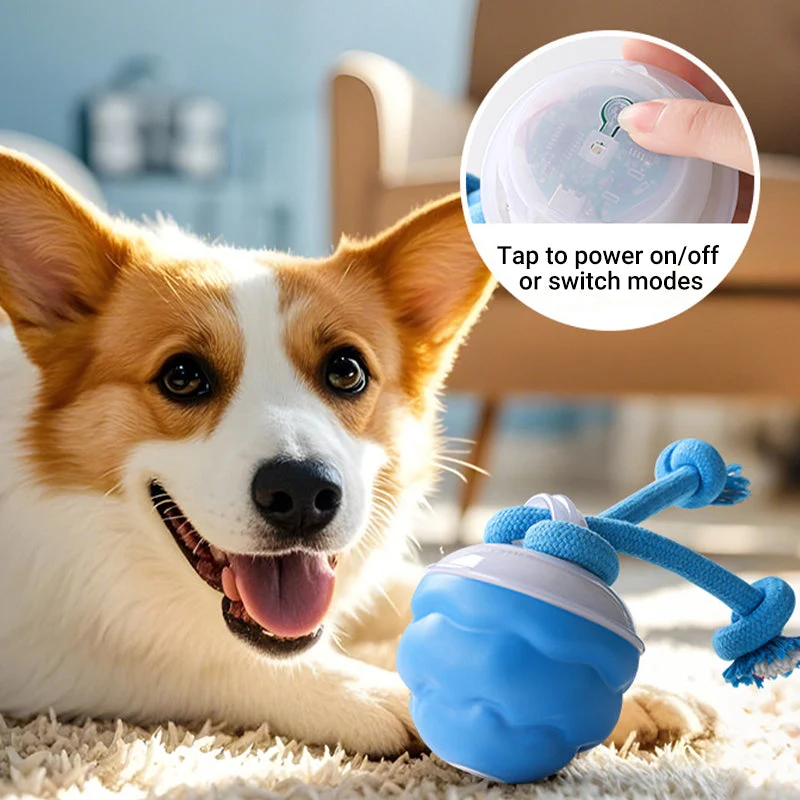 🐶Interaktyvus elektroninis raminamasis kamuoliukas augintiniams-LT
