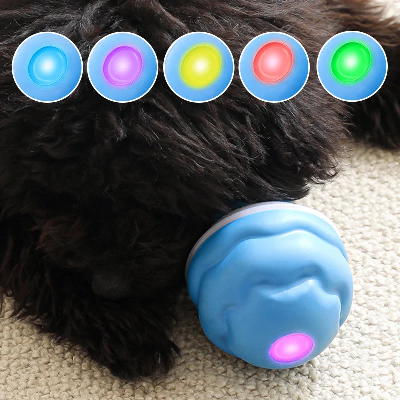 🐶Interaktyvus elektroninis raminamasis kamuoliukas augintiniams-LT