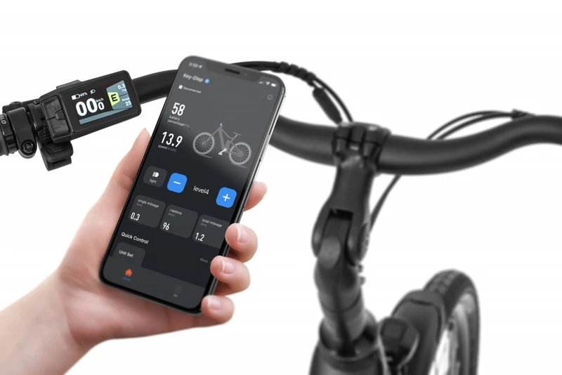 Electric bike Ecobike X-City Black
