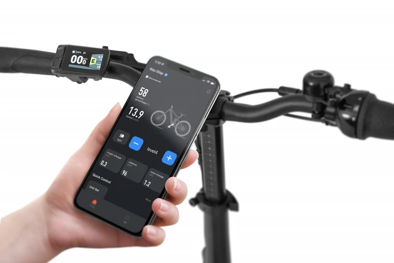 Electric bike Ecobike Rhino Cruise Black
