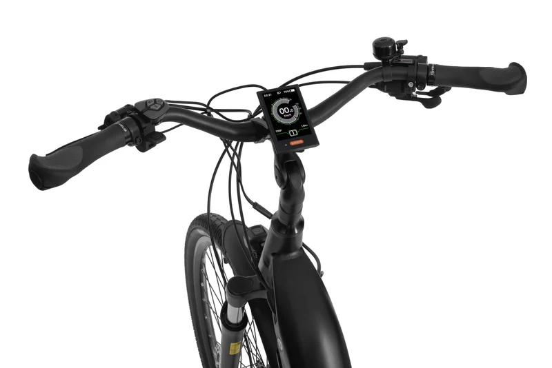 Electric bike Ecobike D2 City Black