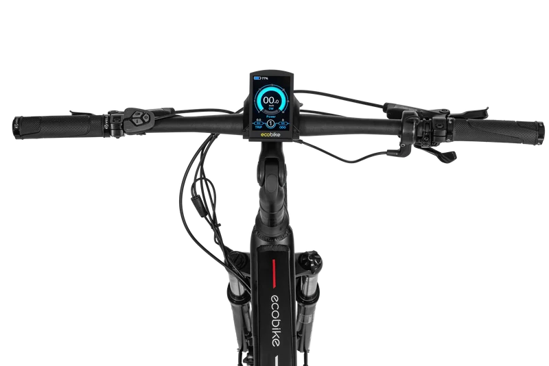 Electric bike Ecobike MX300 Black