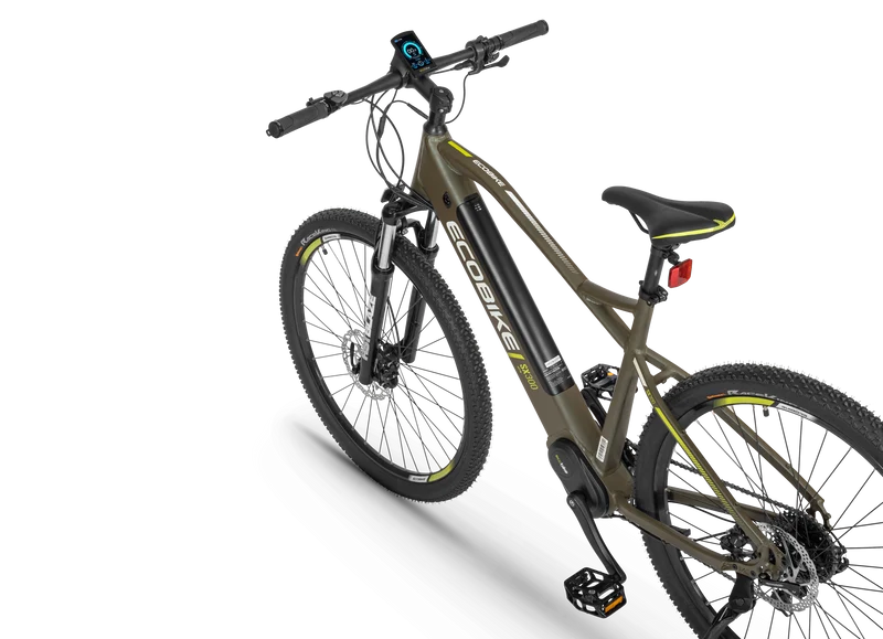 Electric bike Ecobike SX300 Green