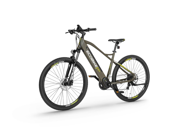 Electric bike Ecobike SX300 Green