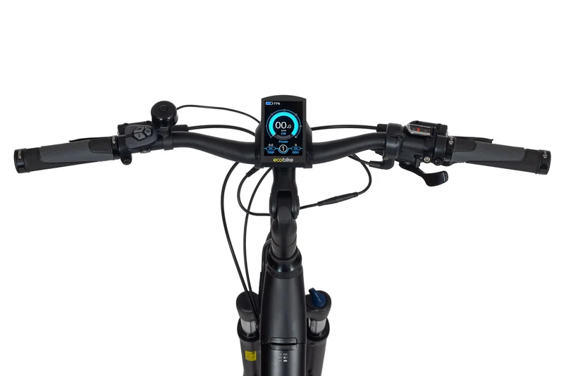 Electric bike Ecobike X-Cross L Black