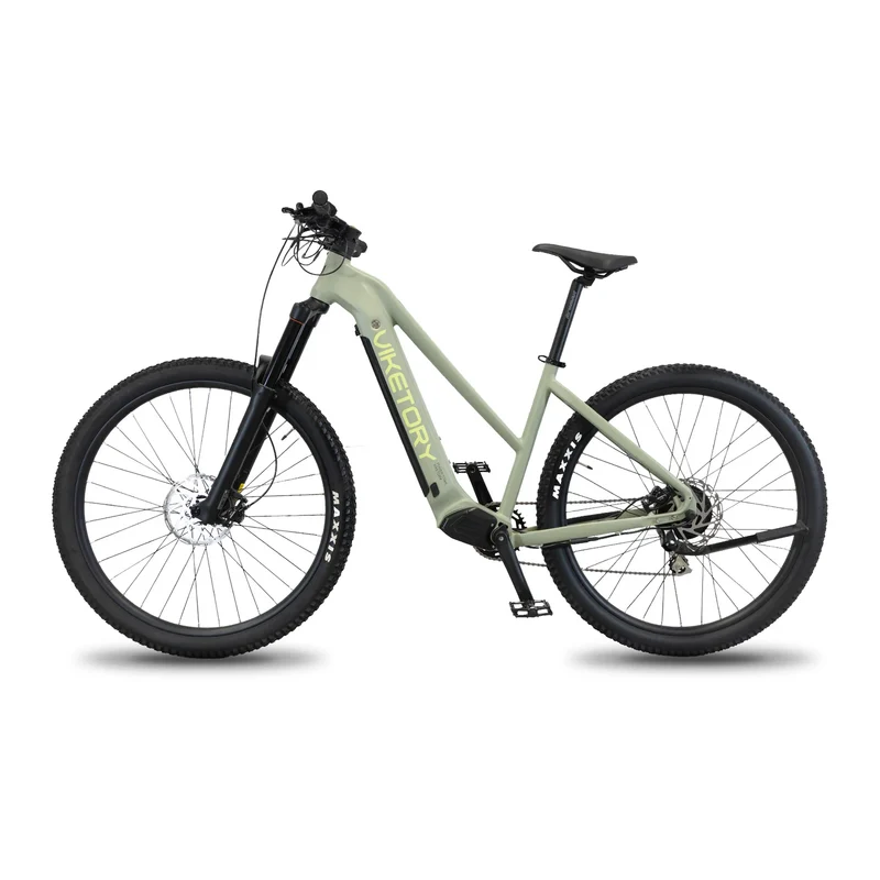 Bicicleta Eléctrica MTB VIKETORY Zhepir