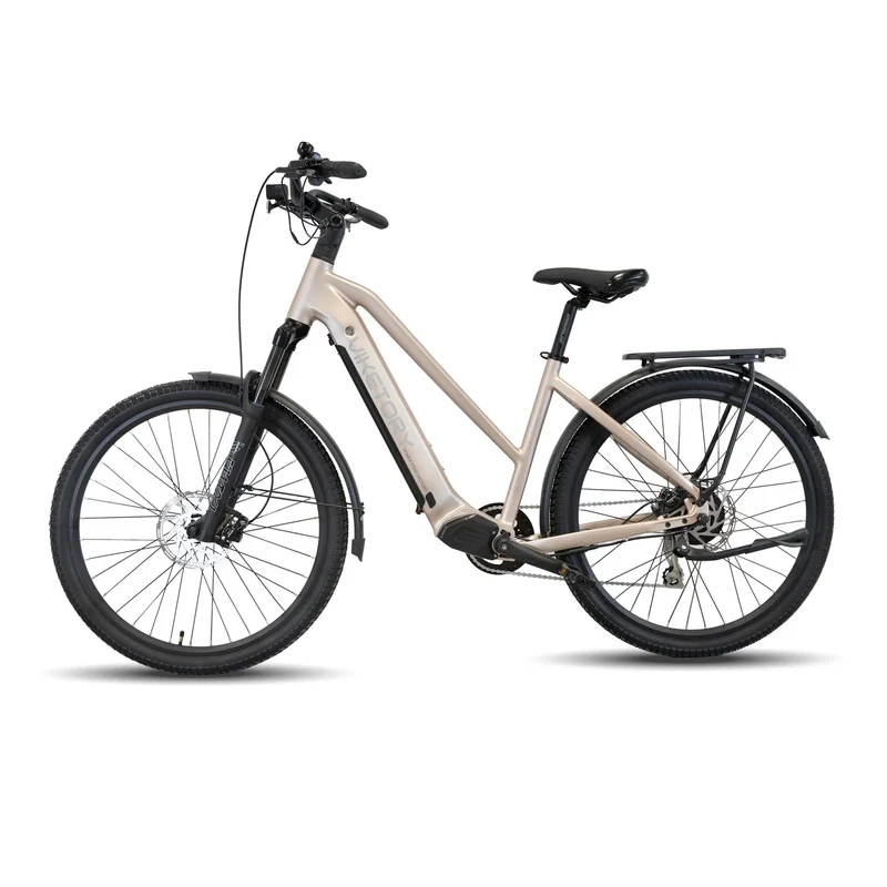 Bicicleta Eléctrica VIKETORY ARENOX +Plus