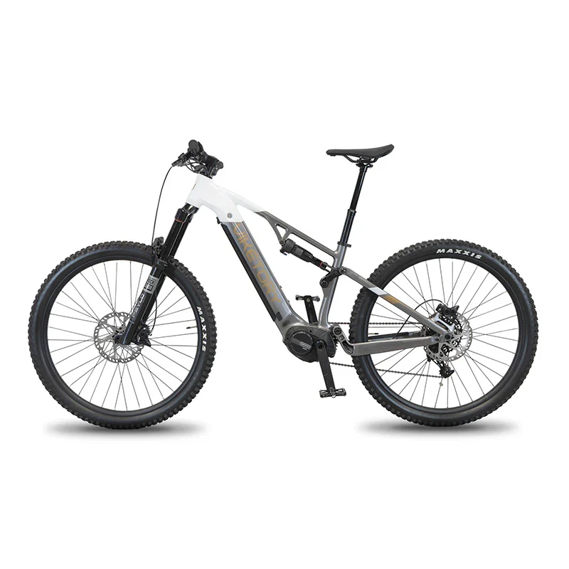 Bicicleta Eléctrica MTB VIKETORY TERRAM