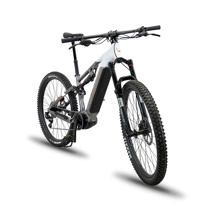 Bicicleta Eléctrica MTB VIKETORY TERRAM