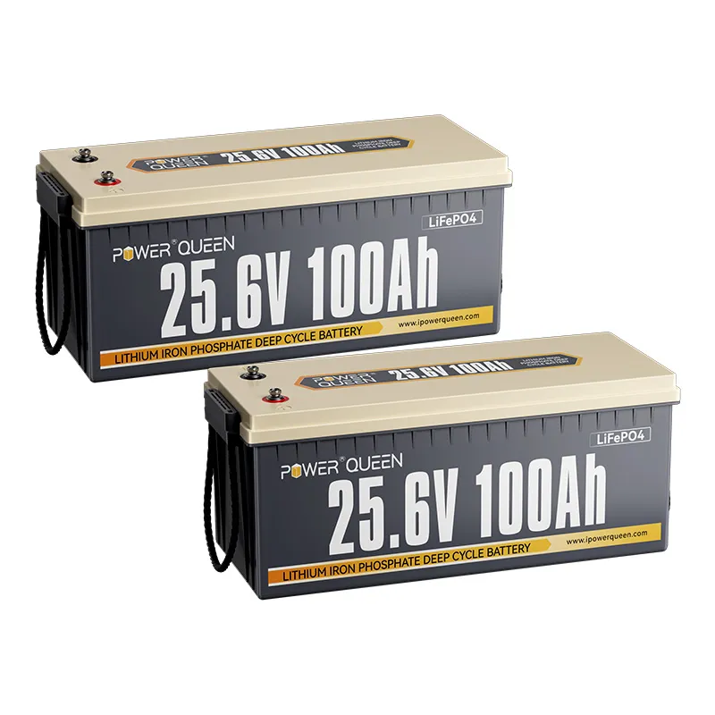 (0% MwSt.) Power Queen 24V 100Ah LiFePO4 Batterie, Eingebautes 100A BMS