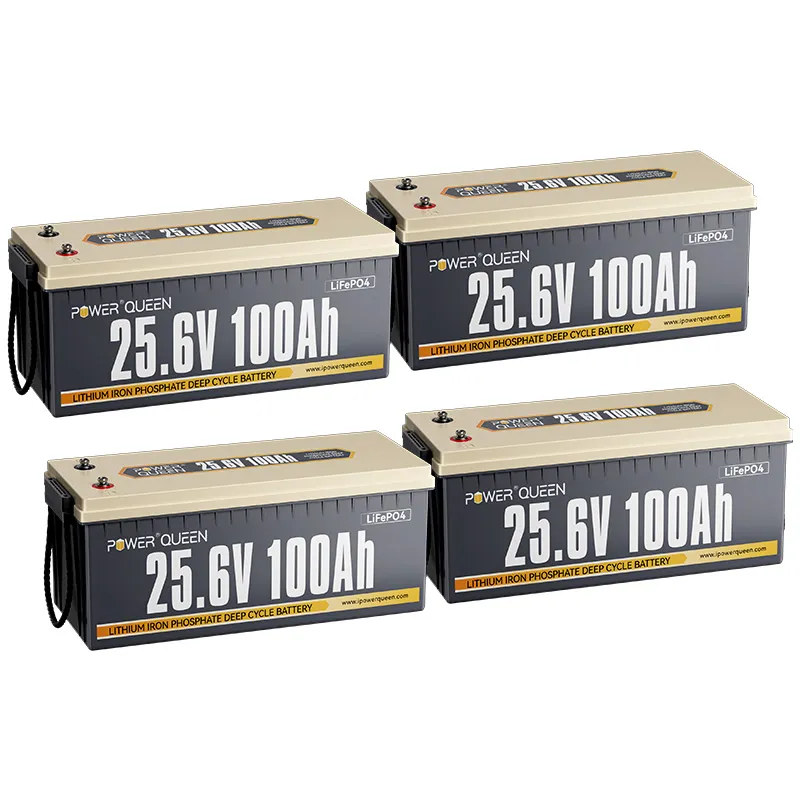 (0% MwSt.) Power Queen 24V 100Ah LiFePO4 Batterie, Eingebautes 100A BMS