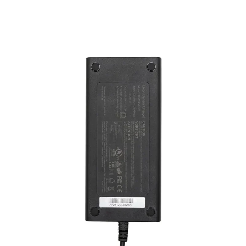 Cargador premium 48v (salida 54,6v) 2A conector Julet 3105 Cecotec Y65