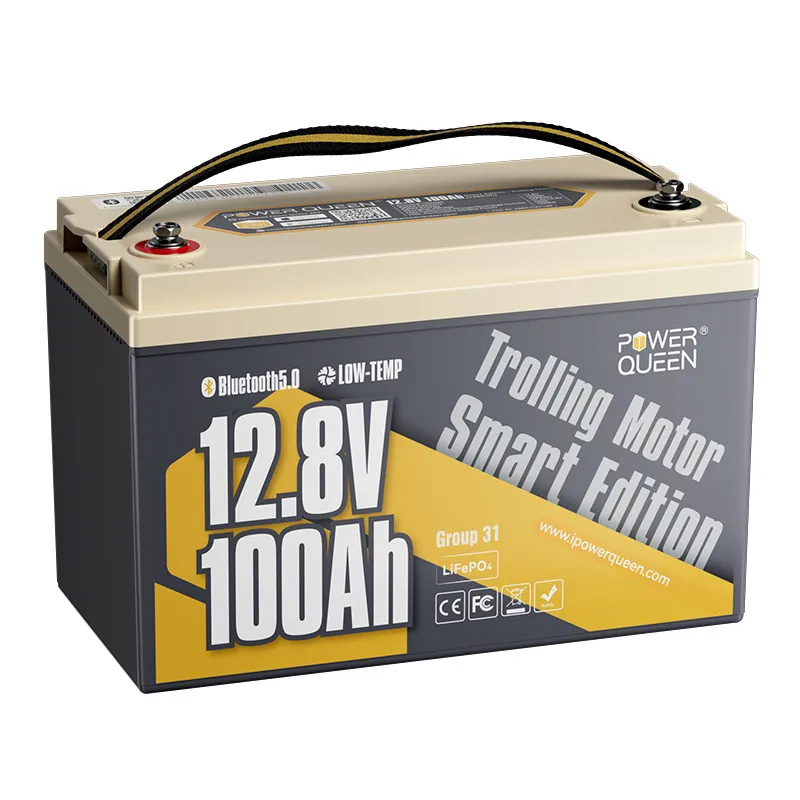 Power Queen LiFePO4 12V 100Ah Niedertemperatur Smart Elektromotor Batterie