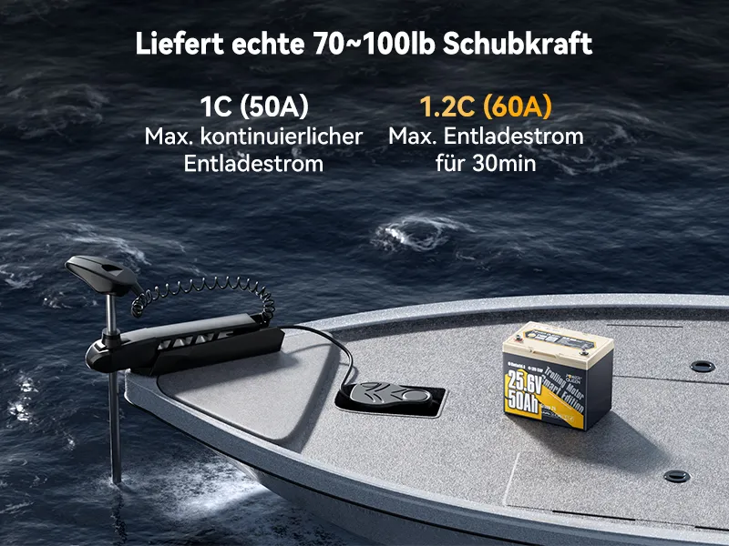 (0% MwSt.) Power Queen LiFePO4 24V 50Ah Smart Niedertemperatur Elektromotor Batterie