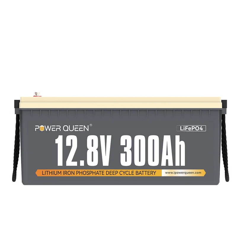 Wie Neu - Retournierte Power Queen LiFePO4 Batterien | 5 Jahre Garantie