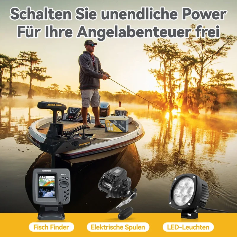 Power Queen LiFePO4 12V 100Ah Niedertemperatur Elektromotor Batterie