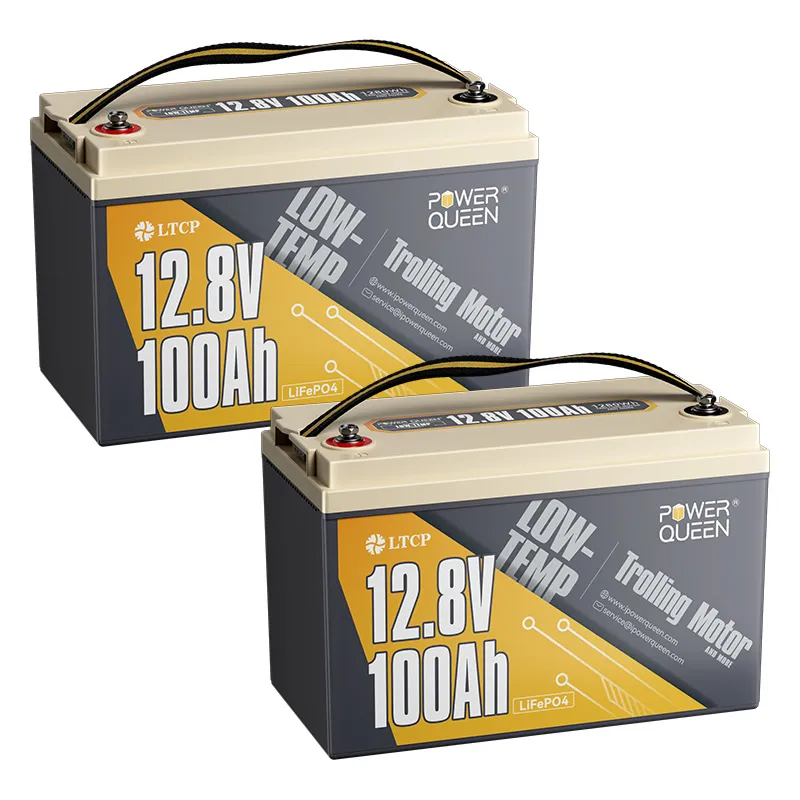 Power Queen LiFePO4 12V 100Ah Niedertemperatur Elektromotor Batterie