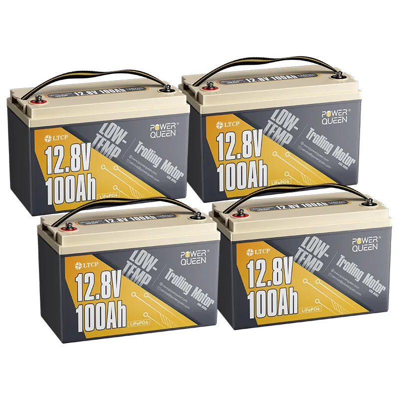 Power Queen LiFePO4 12V 100Ah Niedertemperatur Elektromotor Batterie