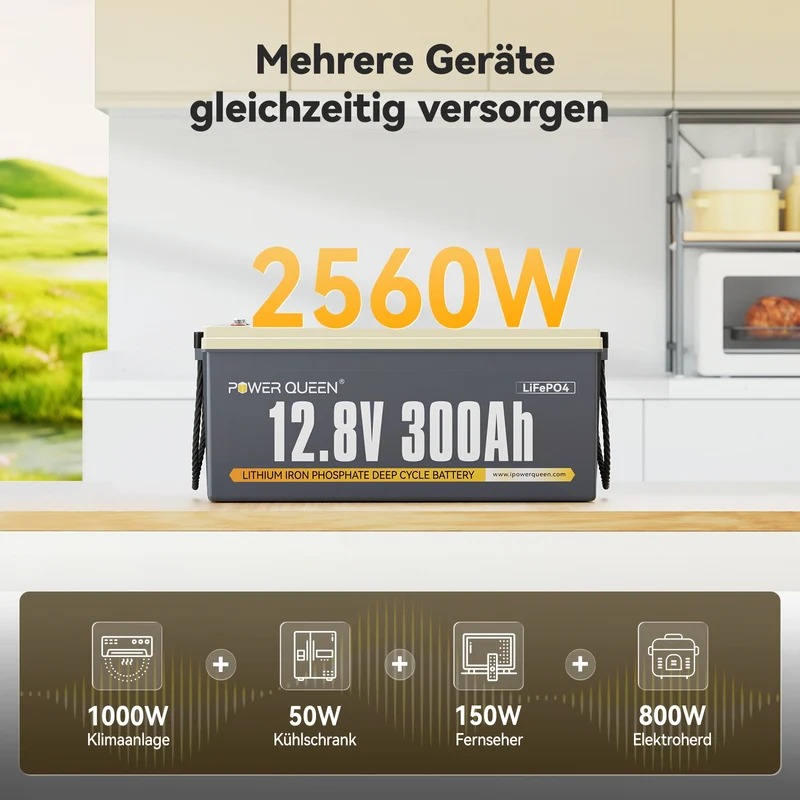Power Queen 12V 300Ah LiFePO4 Batterie, Integriertes 200A BMS