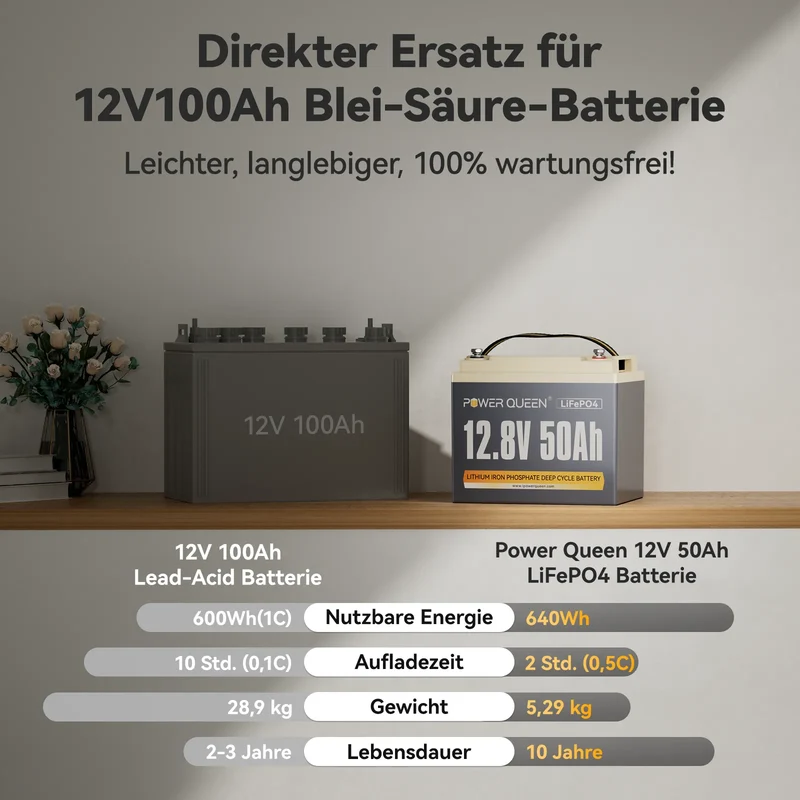 Power Queen 12V 50Ah LiFePO4 Batterie, Eingebautes 50A BMS