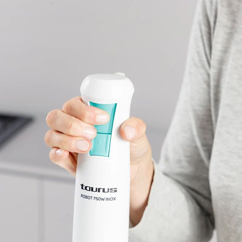 ROBOT 750 INOX